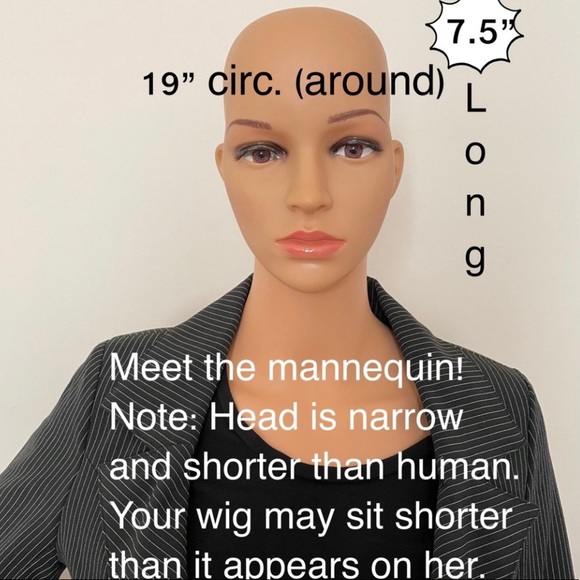 NWT 22” Swiss Lace front pure black human blended mixed straight wig